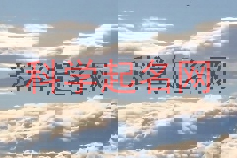 科学起名网