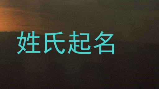 姓氏起名