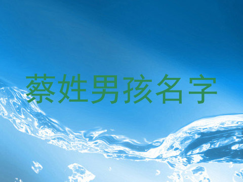 蔡姓男孩名字