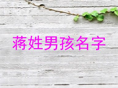 蒋姓男孩名字
