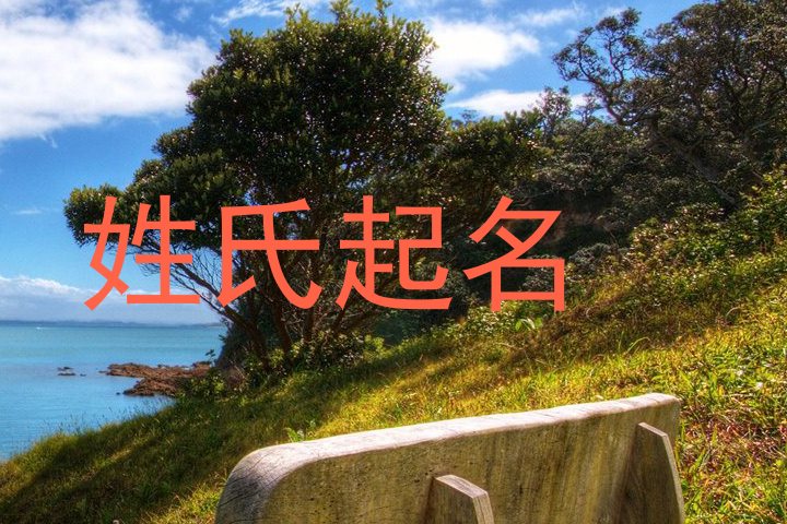 姓氏起名
