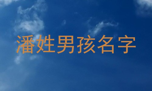 潘姓男孩名字