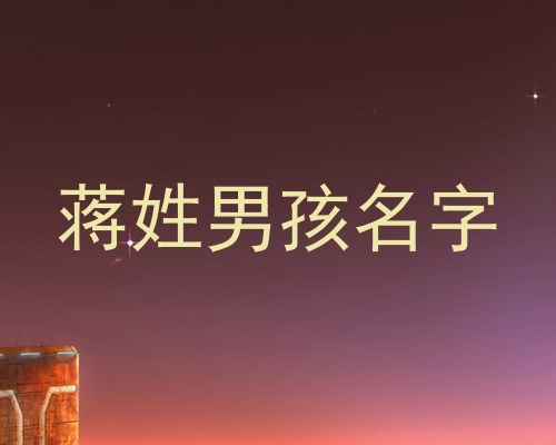 蒋姓男孩名字