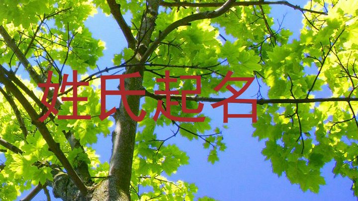 姓氏起名
