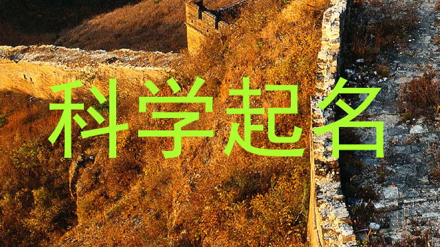 科学起名