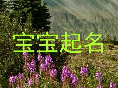 宝宝起名