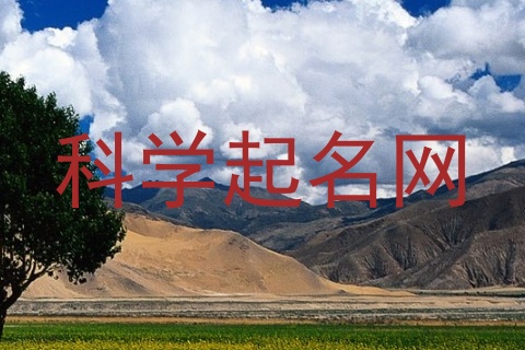 科学起名网