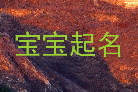 宝宝起名