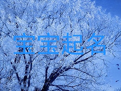 宝宝起名