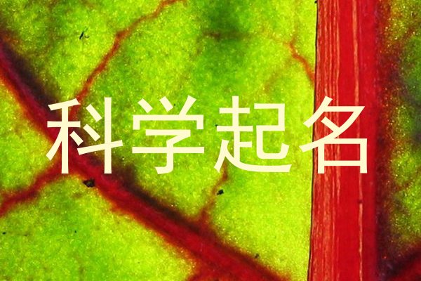 科学起名