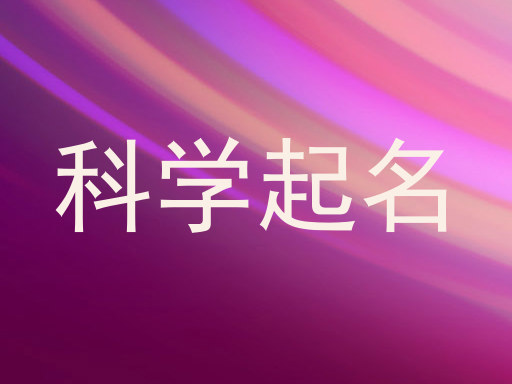 科学起名