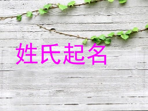 姓氏起名