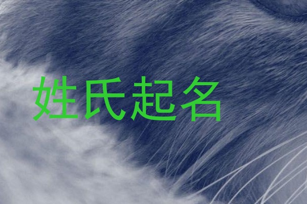 姓氏起名