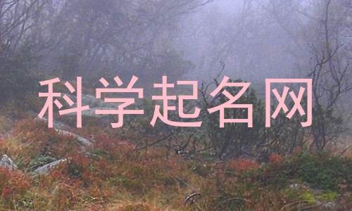 科学起名网