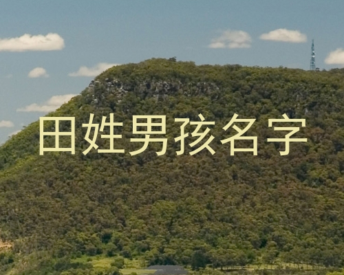 田姓男孩名字