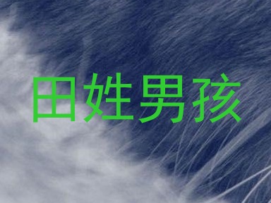 田姓男孩