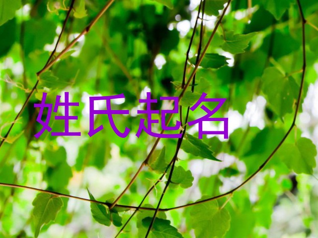 姓氏起名