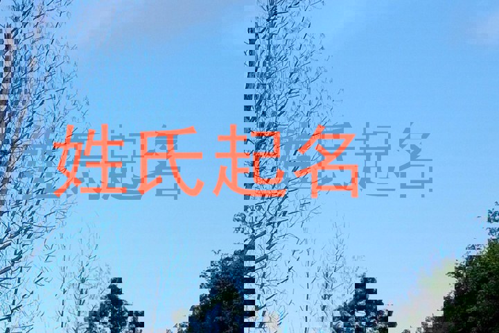 姓氏起名