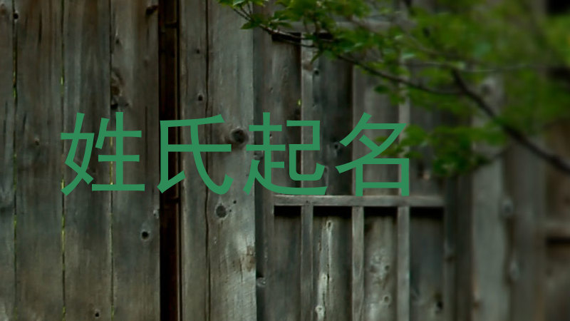姓氏起名