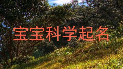 宝宝科学起名