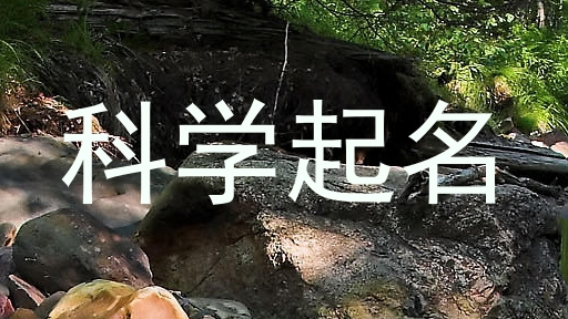 科学起名