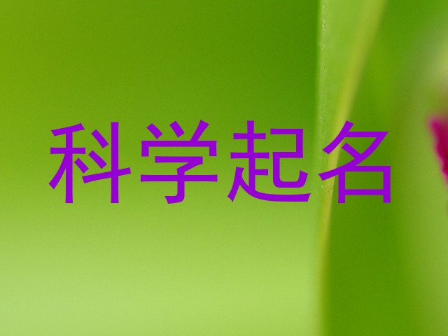 科学起名