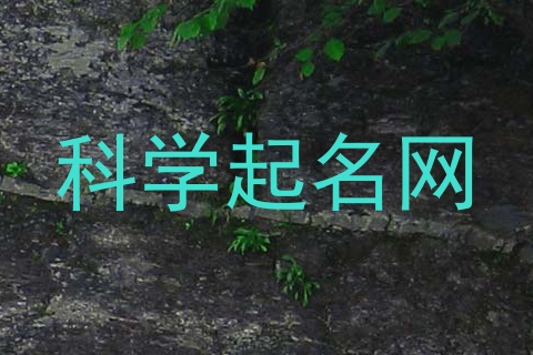 科学起名网