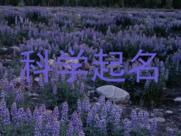 科学起名