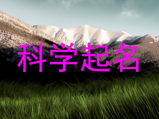 科学起名