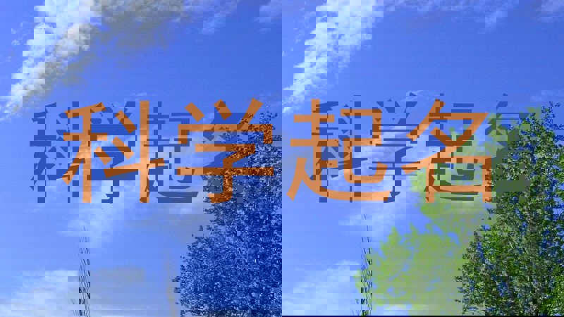 科学起名