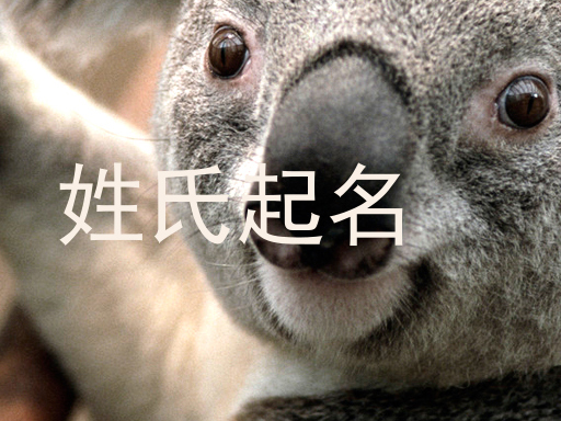 姓氏起名