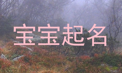 宝宝起名