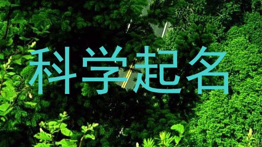科学起名