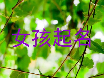 女孩起名