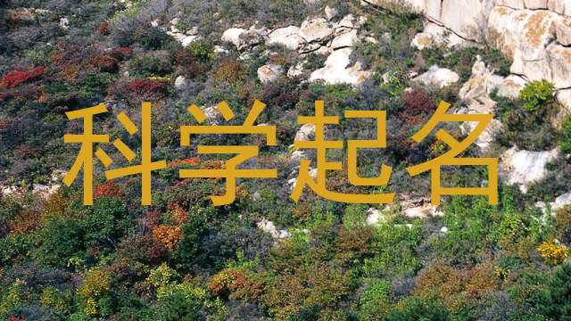 科学起名