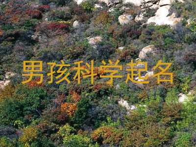 男孩科学起名