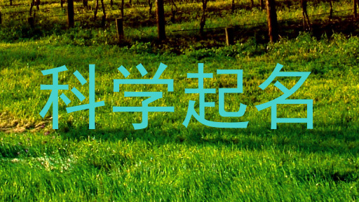 科学起名