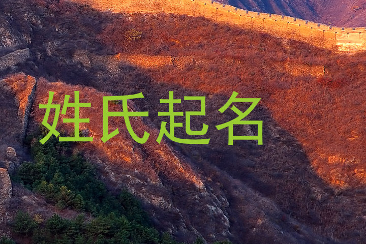 姓氏起名