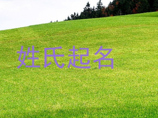 姓氏起名