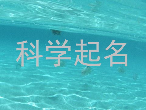 科学起名