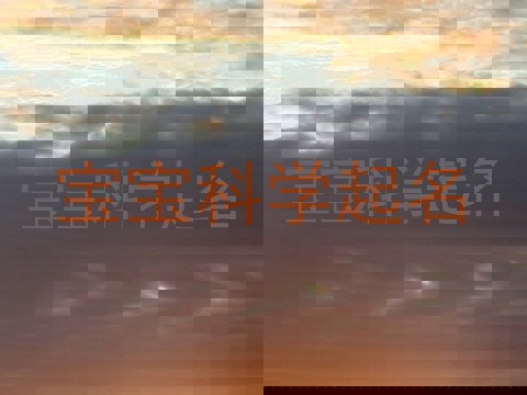 宝宝科学起名