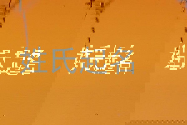 姓氏起名