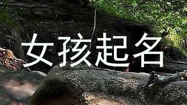 女孩起名