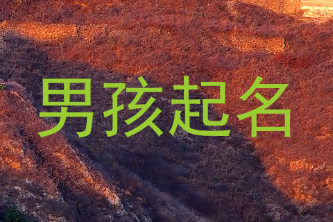 男孩起名