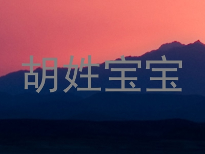 胡姓宝宝