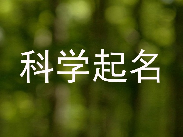 科学起名