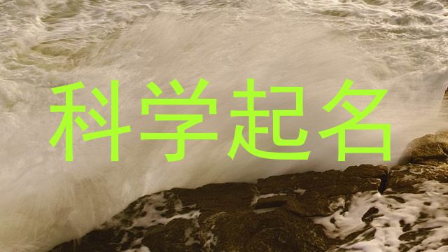 科学起名