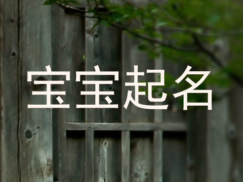 宝宝起名