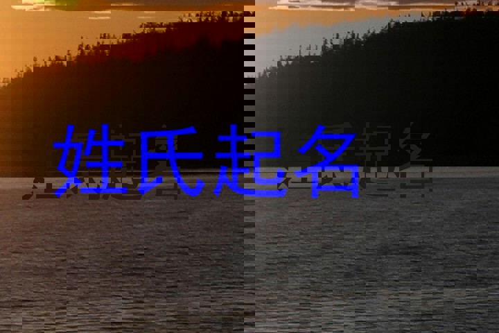 姓氏起名