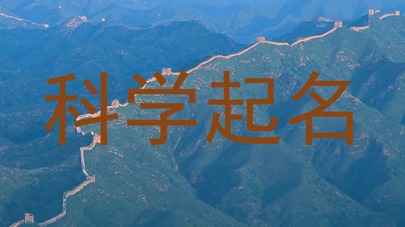 科学起名